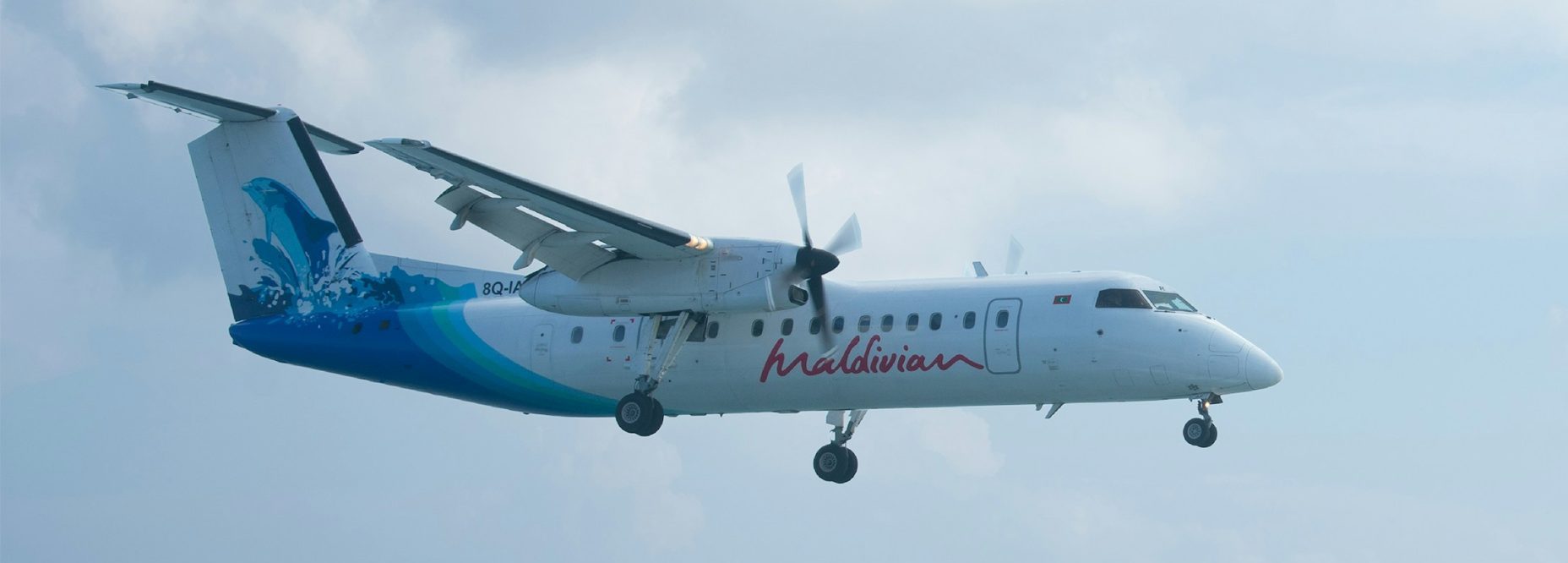 EFI-650 Flight Display